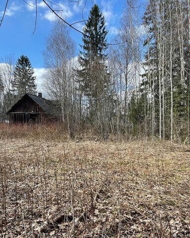 ул Свободы 7 50 км, Гатчинский муниципальный округ, городской пос. Сиверский, Киевское шоссе фото