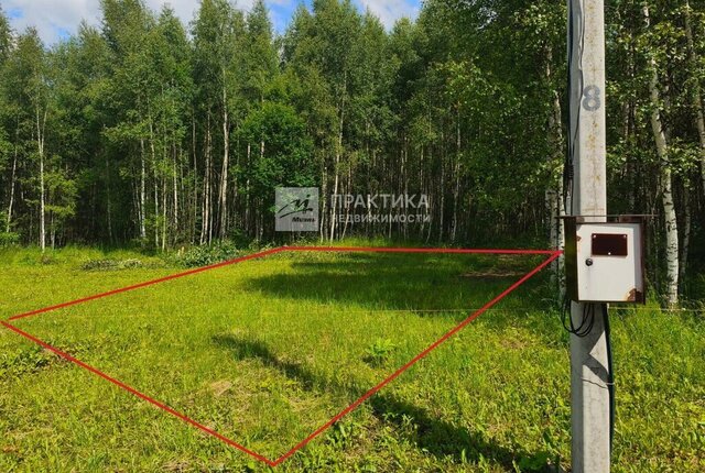 ТСН Станица Староигнатьевская фото