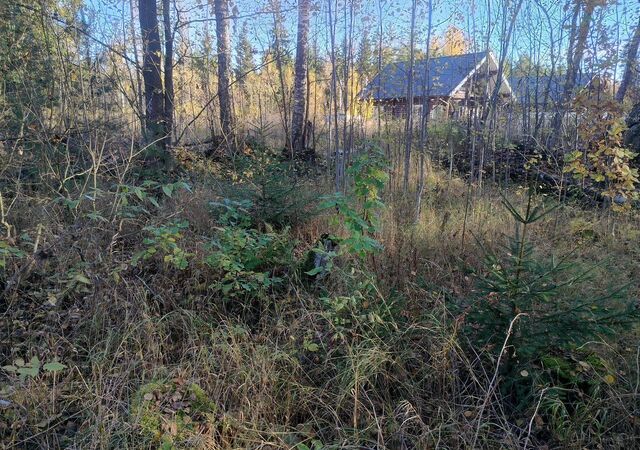 массив Восход снт 19 км Мурманское шоссе, 9765 км, Синявинское городское поселение, 597, Приладожский фото