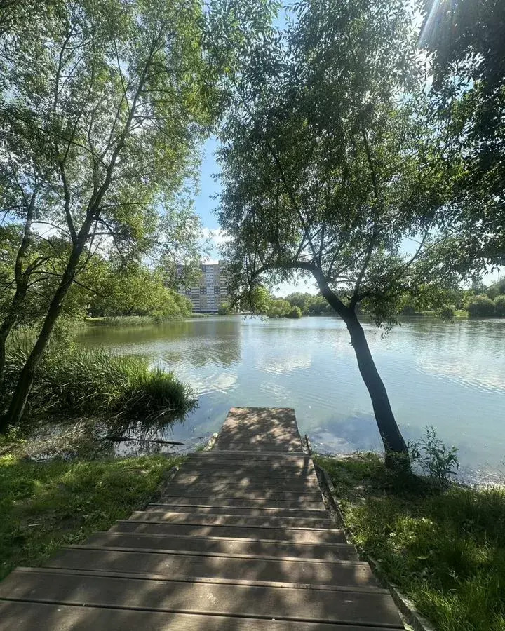 квартира г Калининград р-н Московский ЖК Гринвуд ул. Толстикова, д. 36, корп. 2 фото 1