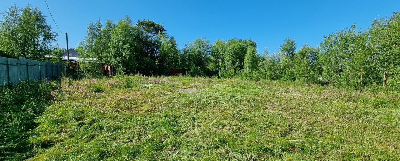земля г Мончегорск садоводческий массив района Риж-Губы, СОТ Имандра фото 3