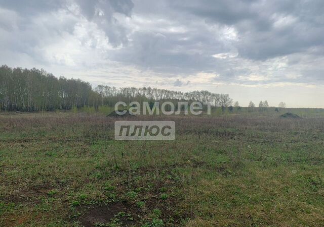 Саргазинское сельское поселение, Челябинск фото