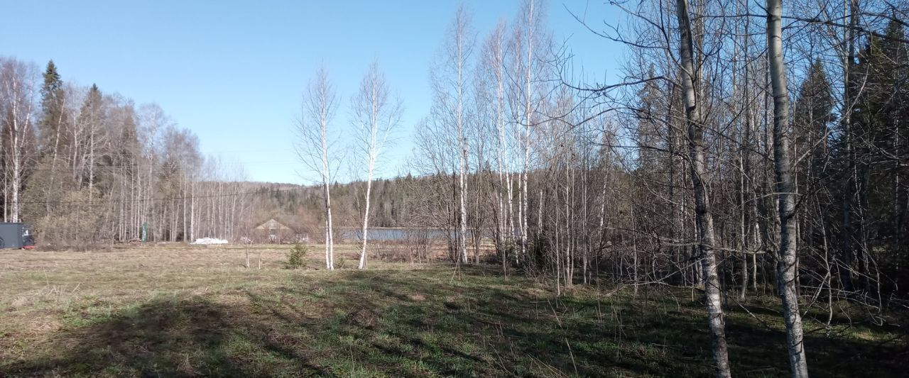 земля г Чусовой д Шалашная ул Светлая фото 5