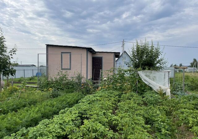 45 км, дп. Рыболово-2, г. о. Воскресенск, Новорязанское шоссе фото