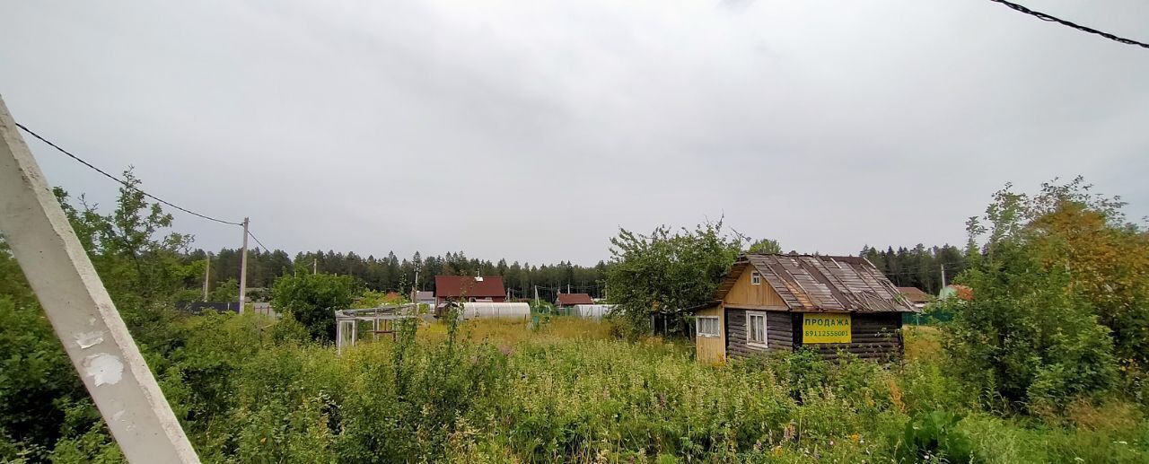 земля г Сосновый Бор Сосновоборский г. о., СНТ Приморский, Г 3 фото 7