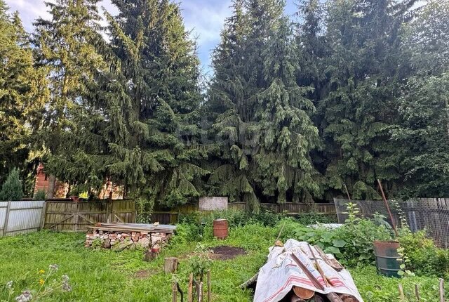 ул Тумановка Кратово фото