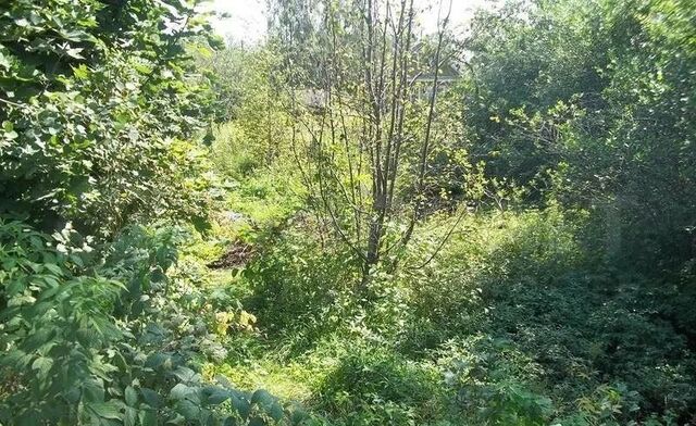 земля Республика Татарстан Татарстан, муниципальное образование Зеленодольск, садоводческое товарищество Гари-2, 120 фото