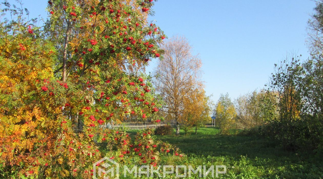 земля г Архангельск р-н Маймаксанский округ снт Бочага фото 2