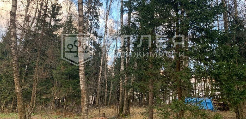 земля г Истра квартал 0050341, Нахабино фото 2