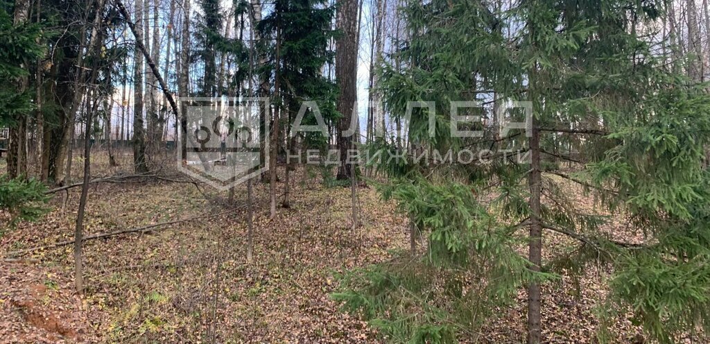 земля г Истра квартал 0050341, Нахабино фото 5