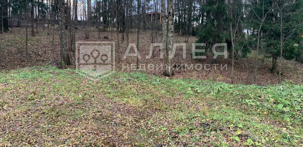 земля г Истра квартал 0050341, Нахабино фото 8