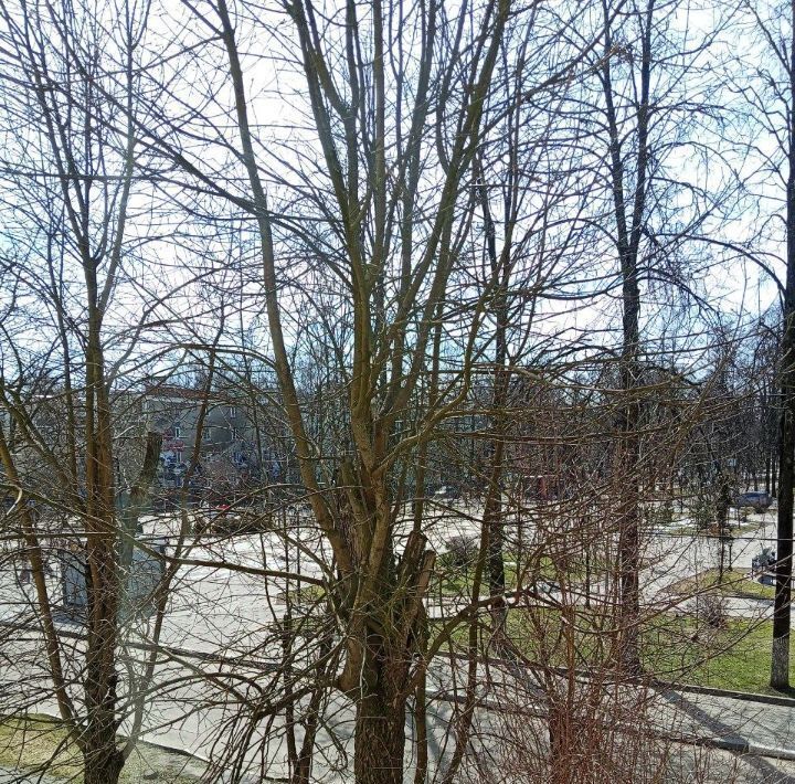 квартира г Наро-Фоминск р-н Центральный ул Пушкина 24 Щелково фото 15