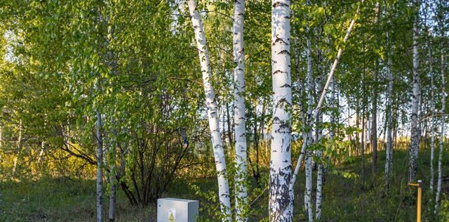 ул 1-я Береговая фото