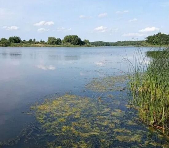 ул Лесная Калининград, Зеленоградский муниципальный округ фото