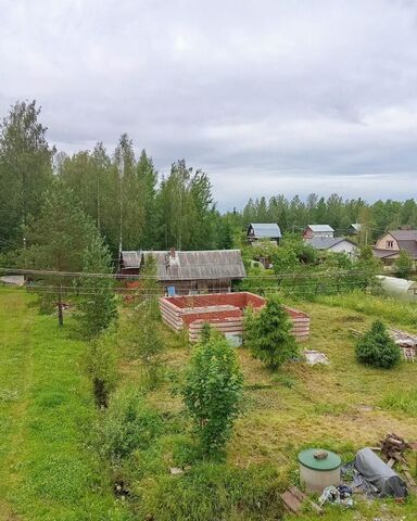 массив Красницы снт Сатос 41 км, Гатчинский муниципальный округ, Сосновский пер., 2, Вырица, садоводческое товарищество, Киевское шоссе фото