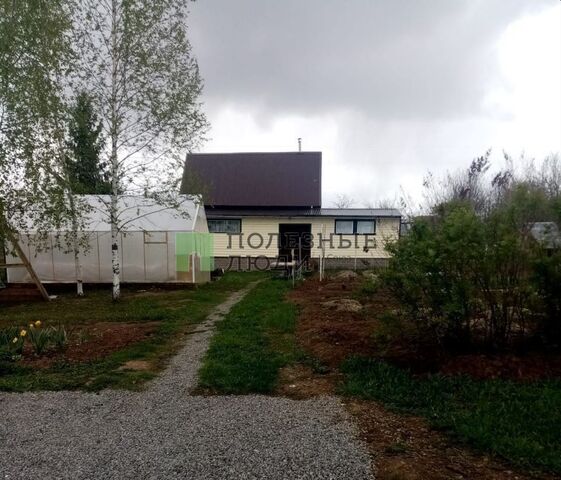 снт Топинамбур Завьялово фото