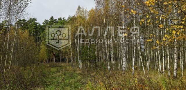 село Павловская Слобода, Нахабино фото