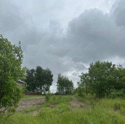 Коломна городской округ фото