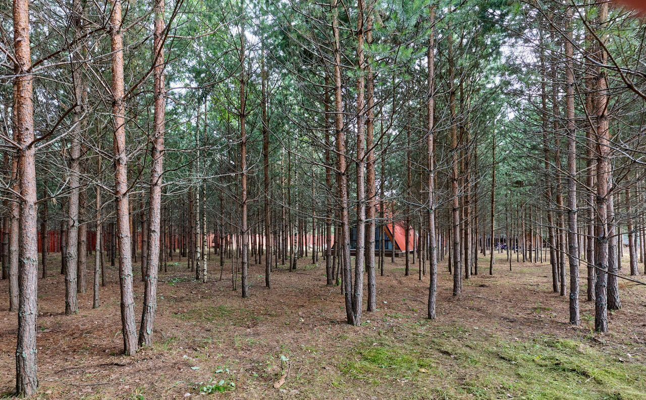 дом г Добрянка территория Урочище Катушки, Пермь фото 5