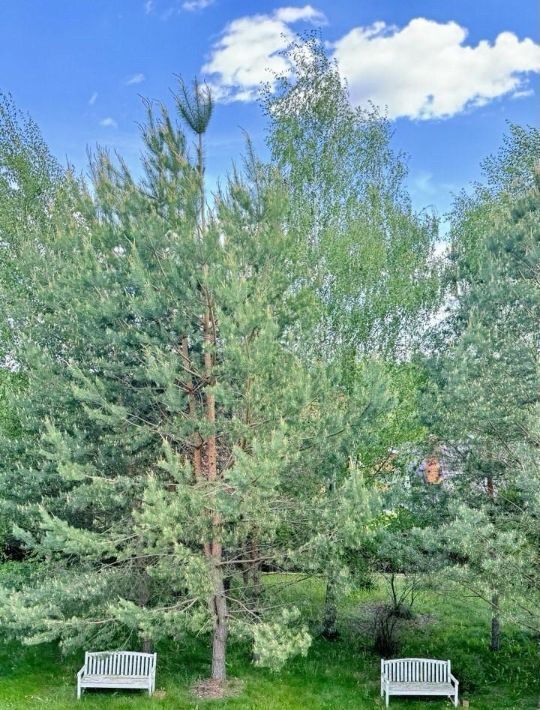 дом г Истра Нахабино фото 1