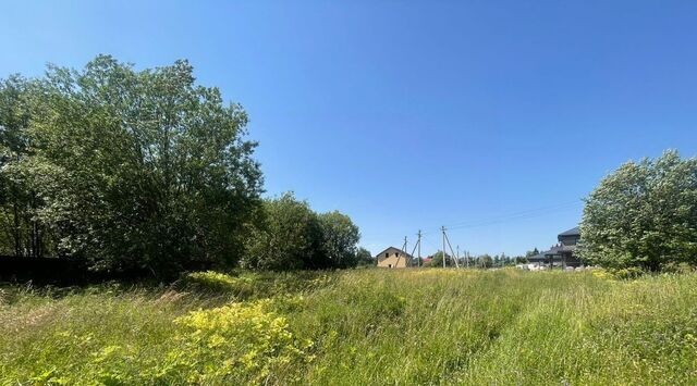 земля с Деулино Сергиево-Посадский городской округ фото