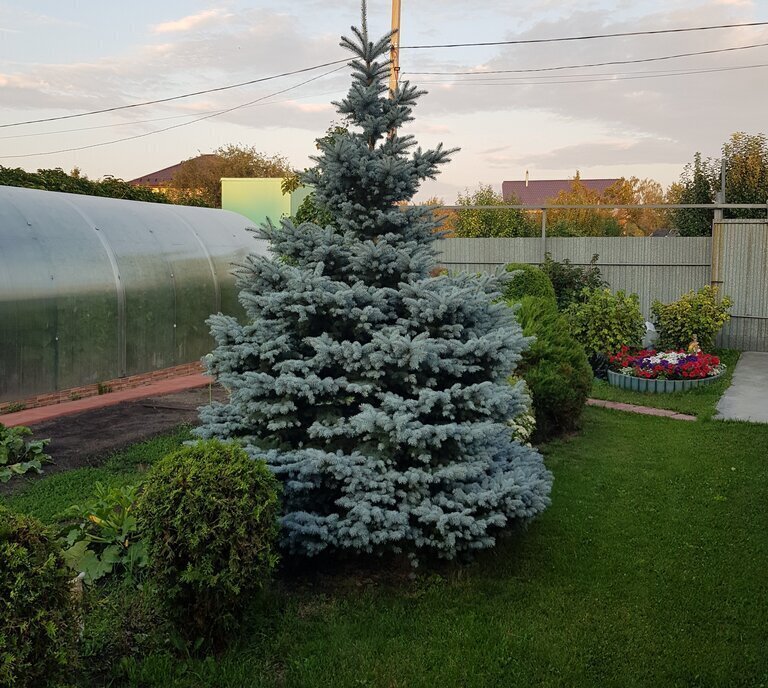 дом г Копейск снт Березка-1 фото 4