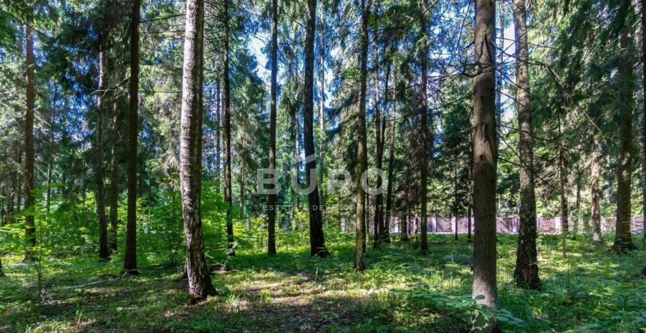 земля г Истра Павловская Слобода, 23 км, КП Лесные зори, Западная ул., 22, Волоколамское шоссе фото 2