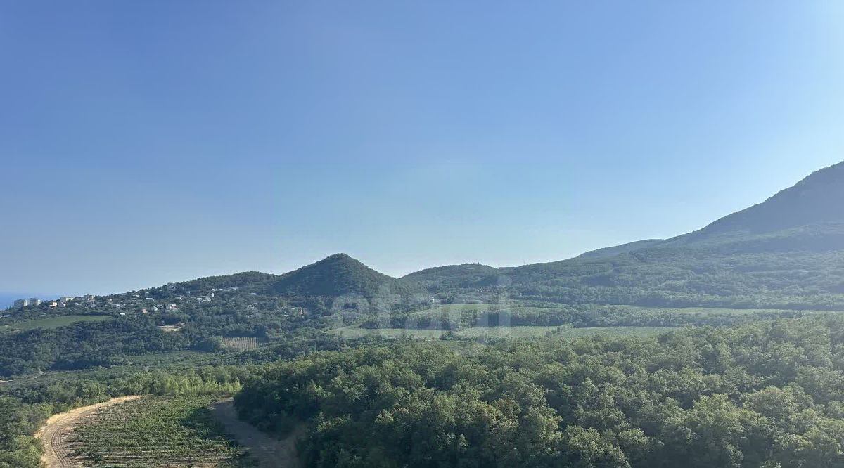 земля г Алушта с Малый Маяк фото 3