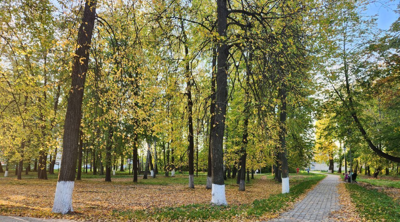квартира р-н Вязниковский г Вязники ул Металлистов 22 фото 45