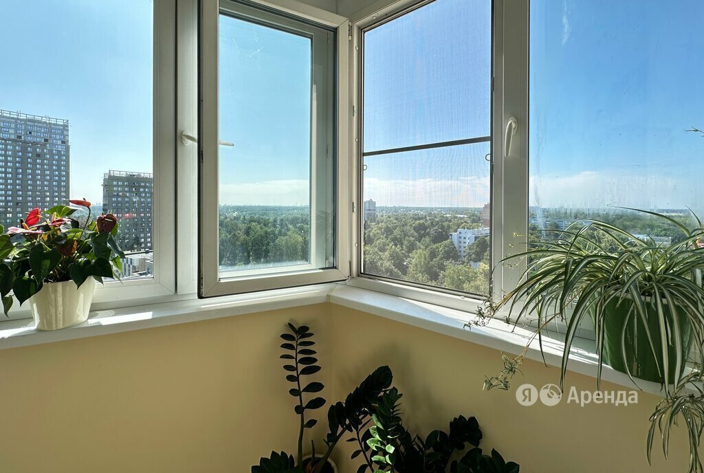 квартира г Пушкино ул Писаревская 5 Бабушкинская фото 18