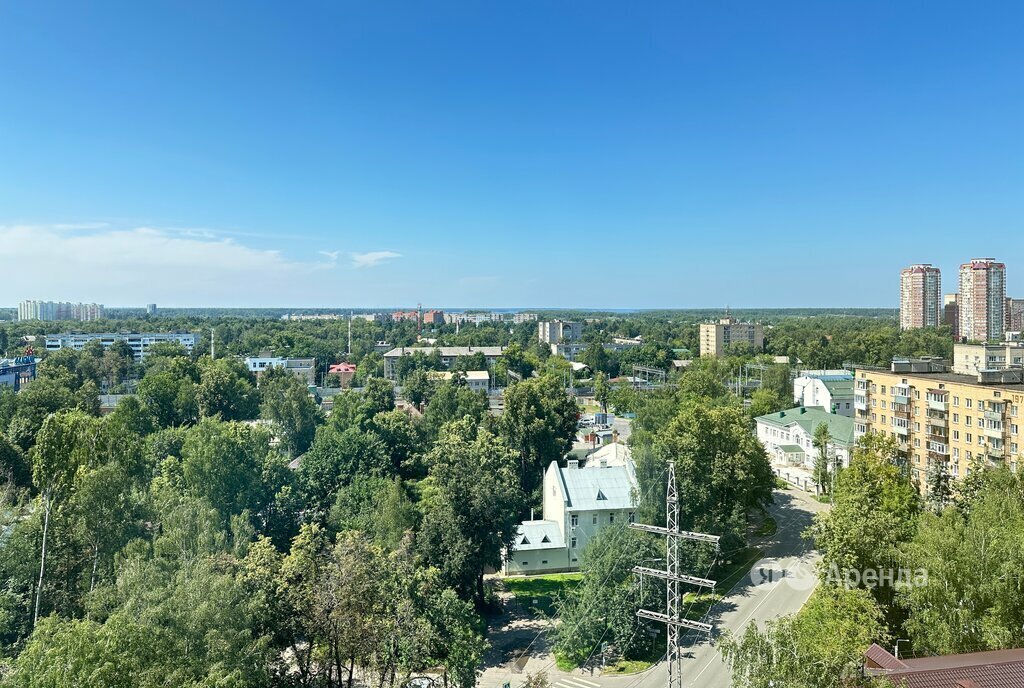 квартира г Пушкино ул Писаревская 5 Бабушкинская фото 20