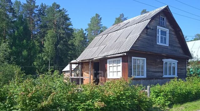 Кушвинский муниципальный округ, КС, ул. 1-я, Березка фото