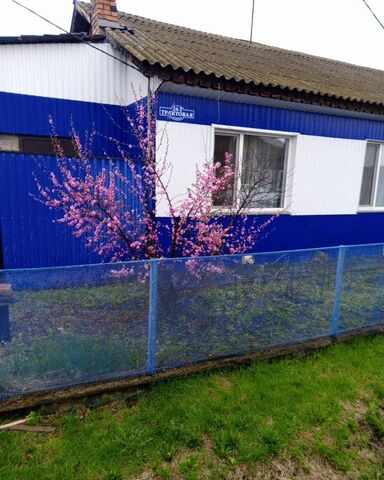 ул Трактовая 24 Муринский сельсовет, Курагино фото