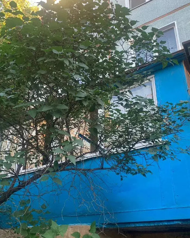 квартира ул Циолковского 7 фото