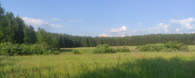 земля п Первомайский ул Заречная Старотагильский тракт, 27 км, Монетный фото