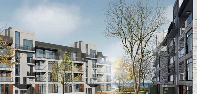 п Лесное Светлогорский городской округ фото п Лесное Светлогорский городской округ фото