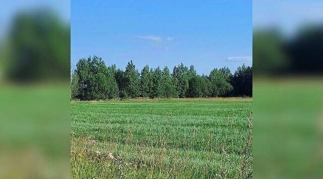 р-н Сыктывдинский с Пажга мкр 1-й муниципальное образование фото р-н Сыктывдинский с Пажга мкр 1-й муниципальное образование фото