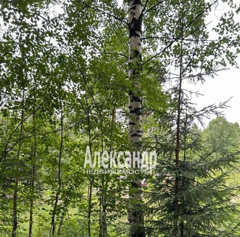 р-н Лахденпохский п Хийтола фото р-н Лахденпохский п Хийтола фото