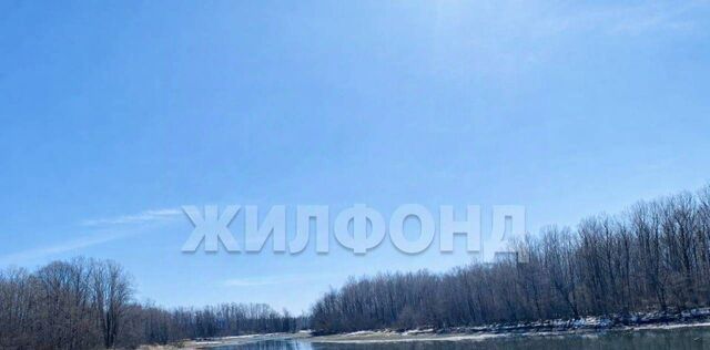 р-н Бийский с Сростки ул Береговая фото