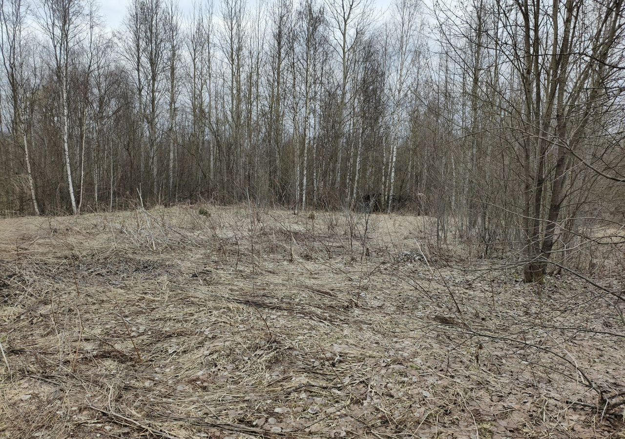 земля р-н Вологодский снт Радужное Вологжанка, 276, Вологда фото 4