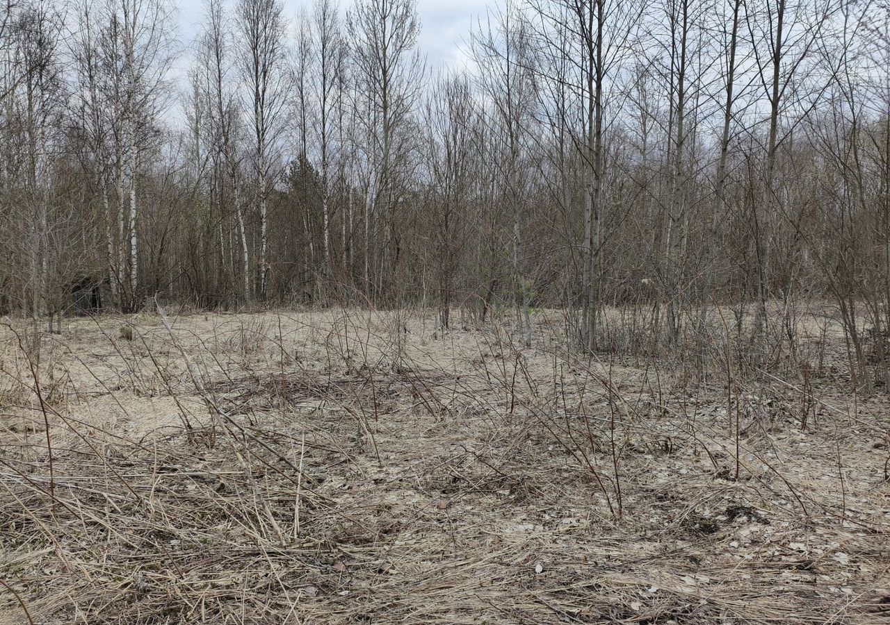 земля р-н Вологодский снт Радужное Вологжанка, 276, Вологда фото 3