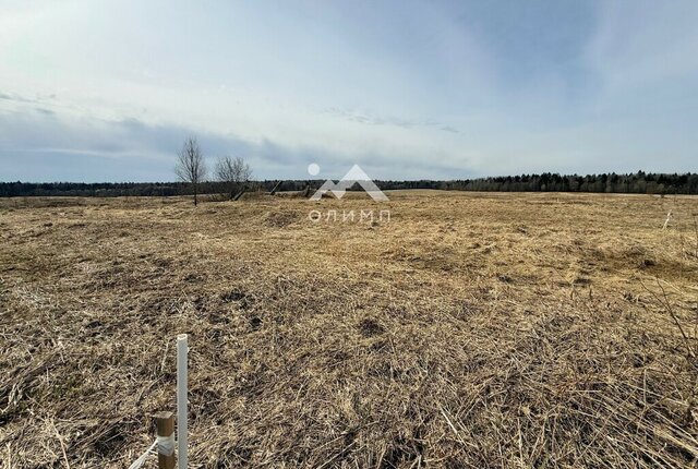 ул Центральная фото