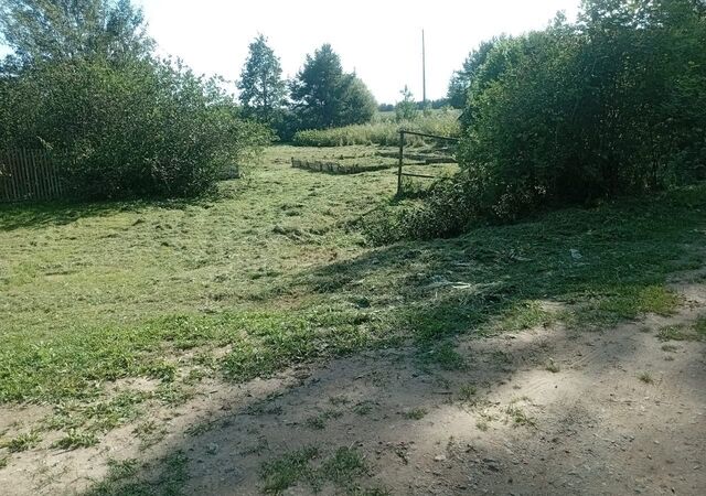 д Голубково Грязовец фото д Голубково Грязовец фото