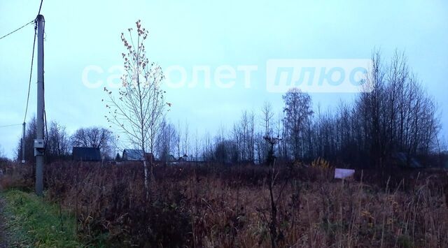 снт Заря-3 71, садоводческое товарищество фото снт Заря-3 71, садоводческое товарищество фото