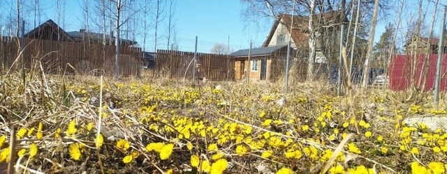 Сергиевка ул Огородная 26 р-н Петродворцовый фото Сергиевка ул Огородная 26 р-н Петродворцовый фото