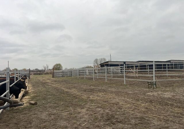 р-н Богучарский с Твердохлебовка ул Лиманская 1б Твердохлебовское сельское поселение, Богучар фото р-н Богучарский с Твердохлебовка ул Лиманская 1б Твердохлебовское сельское поселение, Богучар фото
