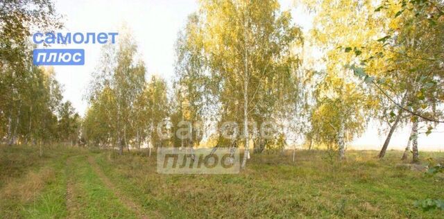 р-н Сосновский с Полетаево 1-е фото р-н Сосновский с Полетаево 1-е фото