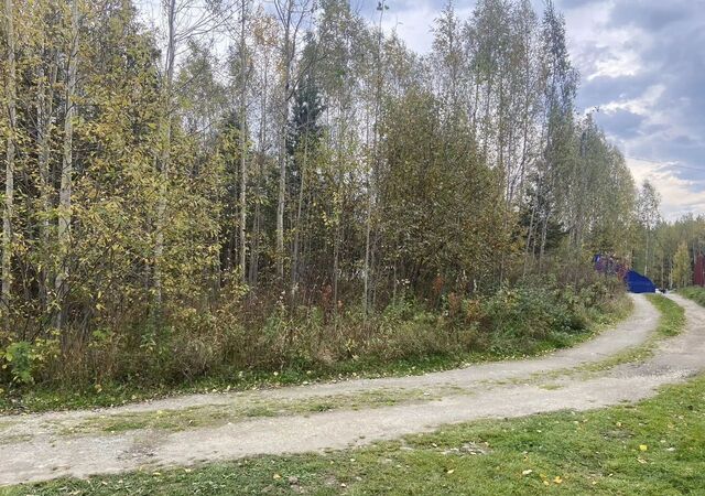 снт Лесное озеро Верх-Нейвинский, Невьянский муниципальный округ фото снт Лесное озеро Верх-Нейвинский, Невьянский муниципальный округ фото