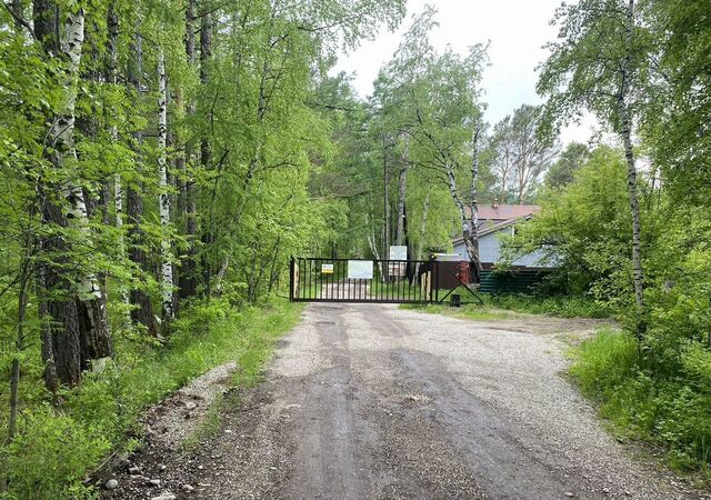 тер Никулиха Иркутский муниципальный округ, Иркутск фото тер Никулиха Иркутский муниципальный округ, Иркутск фото
