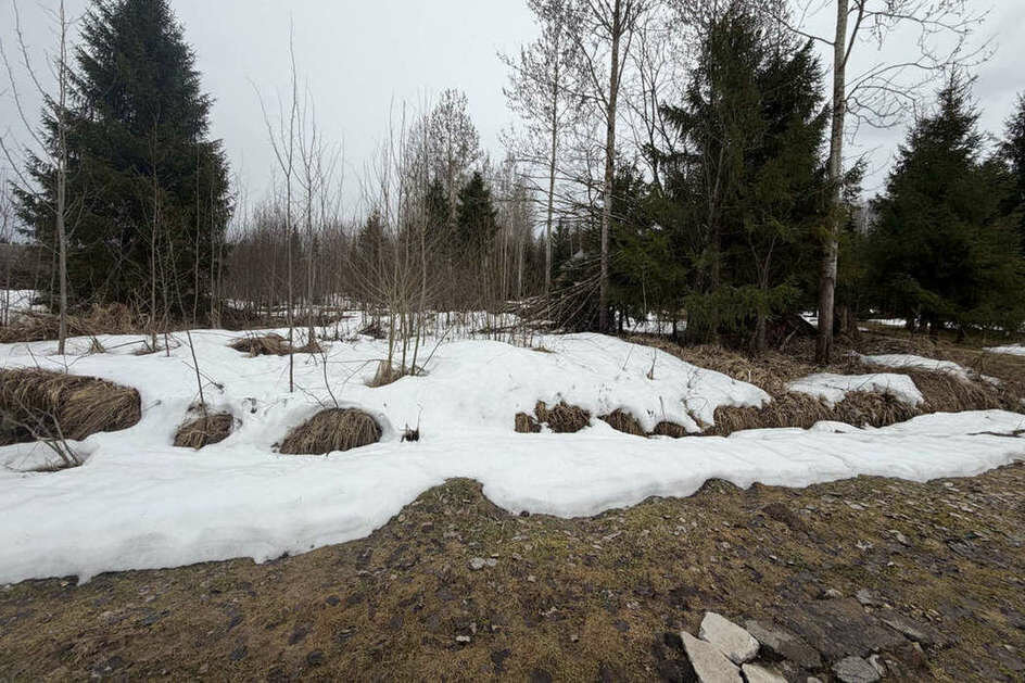 земля р-н Вологодский п Можайское фото 8